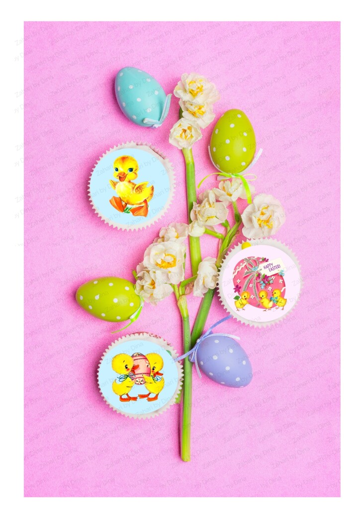 Jan Toppers Retro Easter Jan 2024 precut round icing toppers for cookies or ...