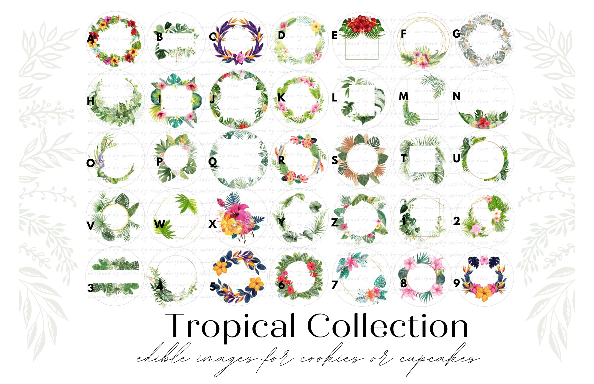 Assorted Collection of Tropical Edible Prints 2026 precut round icing toppers for cookies or cupcakes for any event (please read description)
